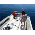 Alpha Royal - Fishing Trips Alpha Royal - Fishing Trips