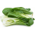 Bok Choy 500g +MVR 20.00