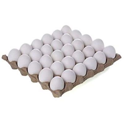 Fresh White Eggs Tray..