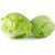 Lettuce Iceberg 500g +MVR 3.00