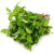 Mint Leaves 100g +MVR 4.00