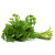 Parsley 100g +MVR 3.00