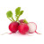 Raddish 500g +MVR 10.00