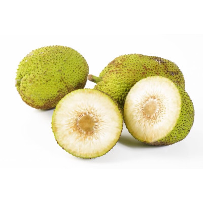 Breadfruit