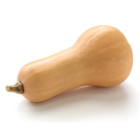 Butternut