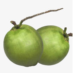 Coconut Raw Coconut Raw