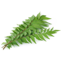 Curry Leaves - bunch