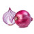 Onion +MVR 15.00